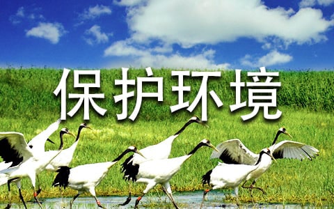 ȫ