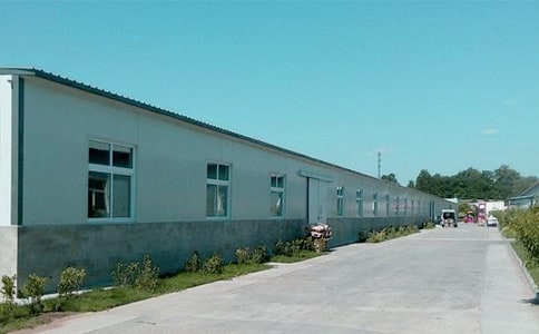 ȫ