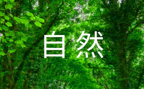 ȻҪг档