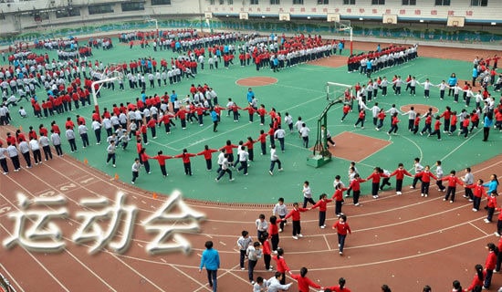运动会的加油稿20字